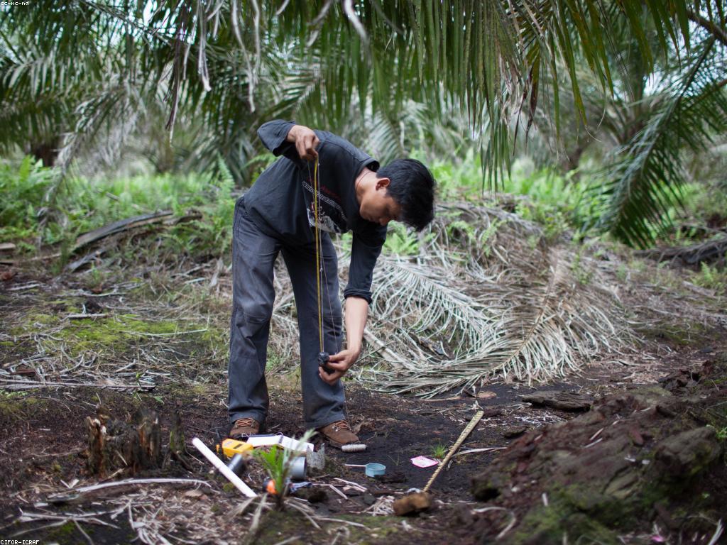 គន្លឹះនិងយុទ្ធសាស្ត្រសម្រាប់ការលូតលាស់ផ្ទាល់ខ្លួន