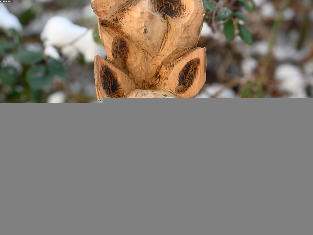 សារៈសំខាន់នៃការពិចារណា