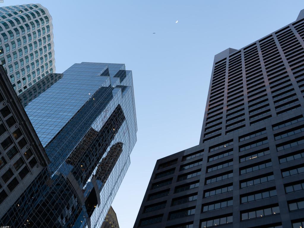 យុទ្ធសាស្ត្រសម្រាប់ការលូតលាស់